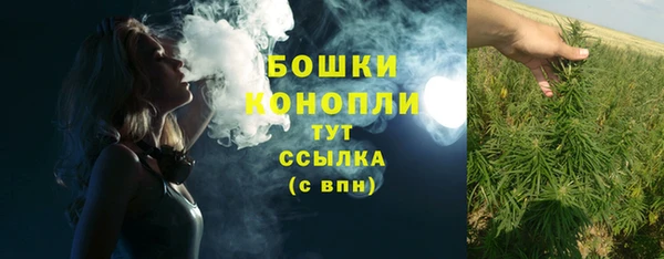 ГАЛЛЮЦИНОГЕННЫЕ ГРИБЫ Белоозёрский