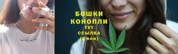 ГАЛЛЮЦИНОГЕННЫЕ ГРИБЫ Белоозёрский