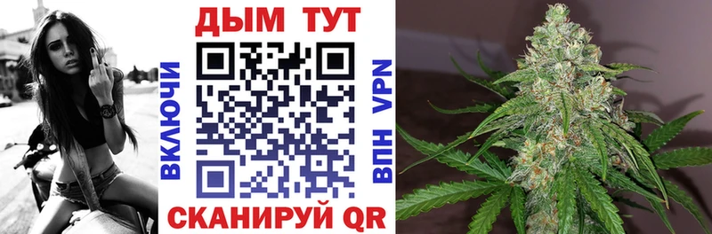 Бошки марихуана индика  Семикаракорск 